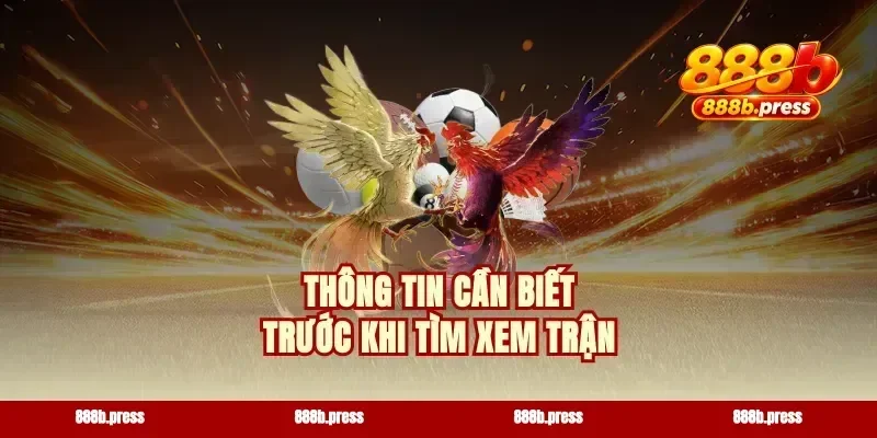 Thông tin cần biết trước khi tìm xem trận