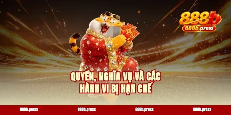 Quyền, nghĩa vụ và các hành vi bị hạn chế